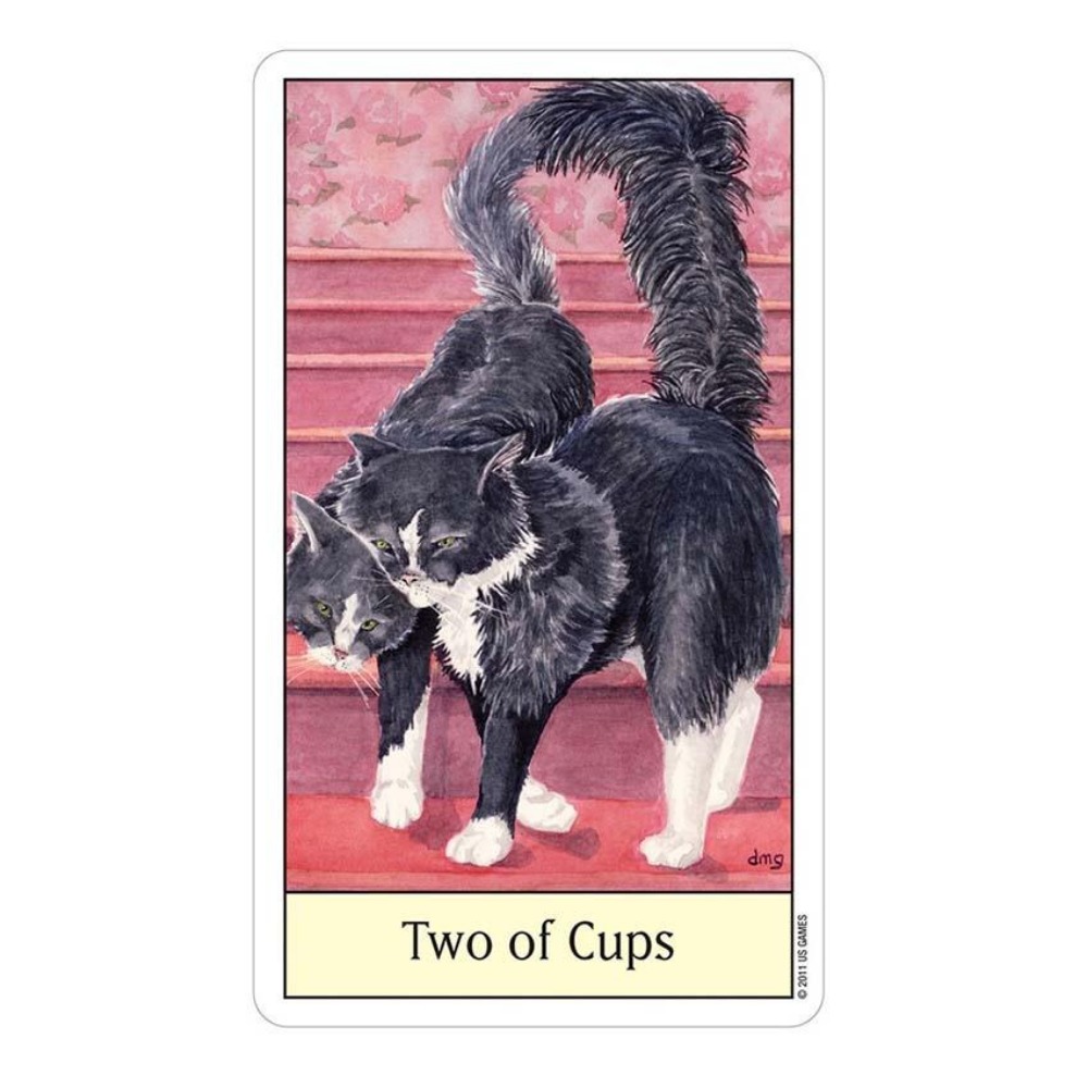 ไพ่แมวตา12x7ซม - Tarot Deck With Guidebook บทวิจารณ์และราคา